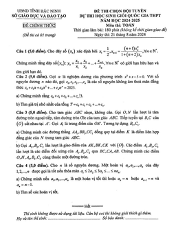 đề chọn đội tuyển thi hsg qg môn toán thpt năm 2024 – 2025 sở gd&đt bắc ninh