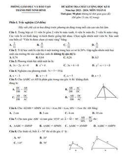 đề học kì 2 toán 8 năm 2023 – 2024 phòng gd&đt thành phố ninh bình