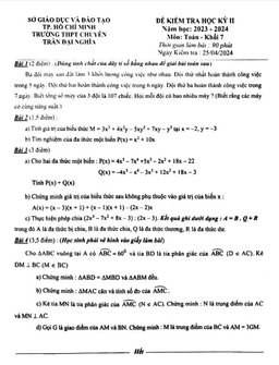đề học kỳ 2 toán 7 năm 2023 – 2024 trường chuyên trần đại nghĩa – tp hcm