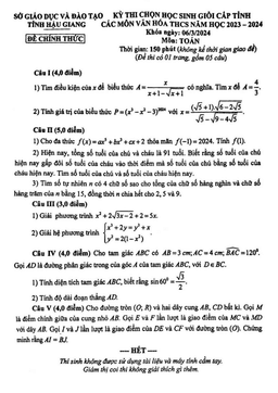 đề học sinh giỏi cấp tỉnh toán thcs năm 2023 – 2024 sở gd&đt hậu giang