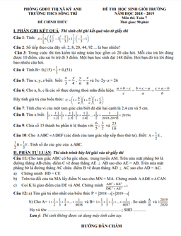 đề học sinh giỏi toán 7 cấp trường năm 2018 – 2019 trường thcs sông trí – hà tĩnh