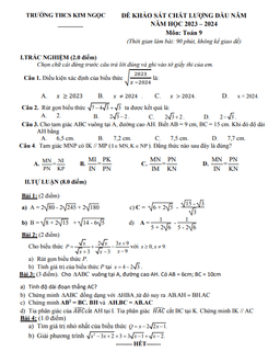 đề khảo sát toán 9 đầu năm 2023 – 2024 trường thcs kim ngọc – vĩnh phúc