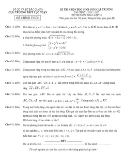 đề thi chọn học sinh giỏi toán 10 năm học 2016 – 2017 trường thpt lục ngạn – bắc giang