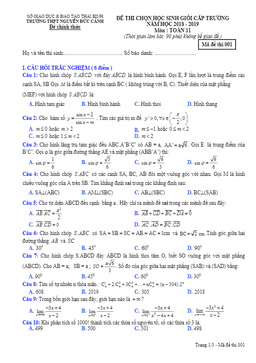 đề thi hsg toán 11 năm 2018 – 2019 trường nguyễn đức cảnh – thái bình