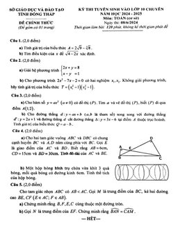 đề tuyển sinh lớp 10 chuyên môn toán (cơ sở) năm 2024 – 2025 sở gd&đt đồng tháp